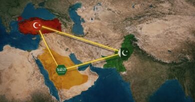 الشراكة السعودية التركية الباكستانية التقارب الإقليمي الرياض وأنقرة وإسلام آباد صناعة التوازن الإقليمي رؤية السعودية 2030